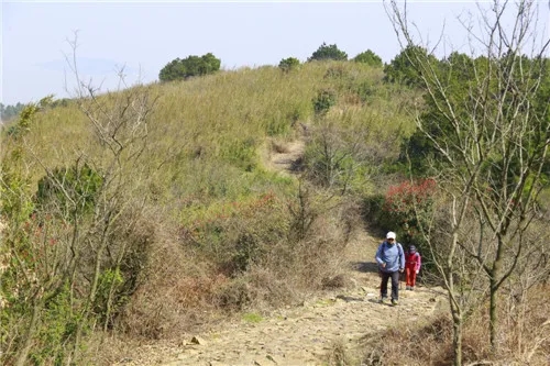 迈橙官方微商城 4