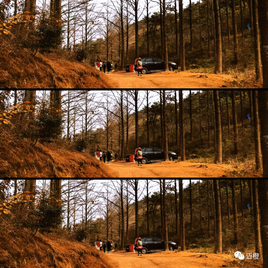 640.webp (26)